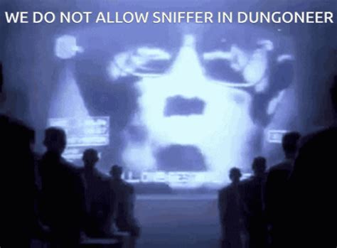 rotmg sniffer